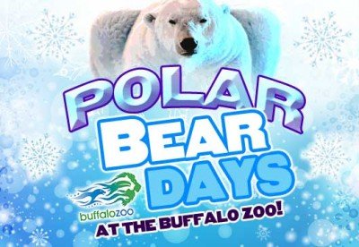 Polar Bear Days