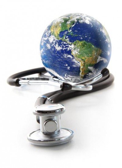 Medicinal Garden Feature -