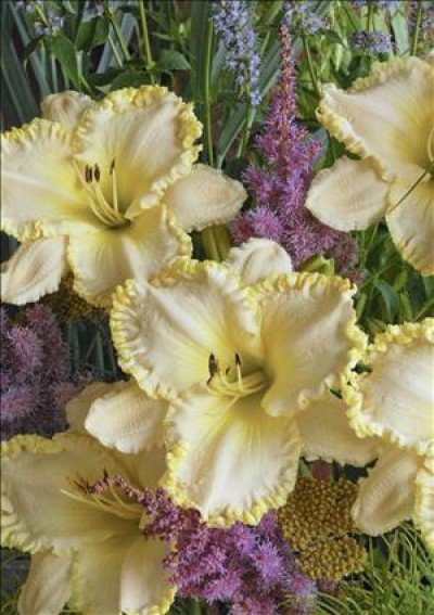 The Great Plant Sale