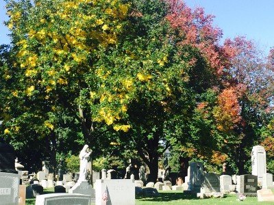 Buffalo Cemeteries: A Grave Discussion