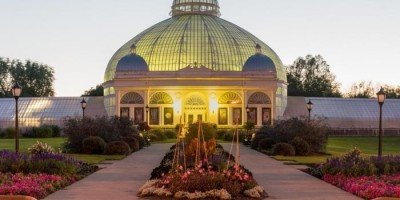 Medicinal Garden Feature