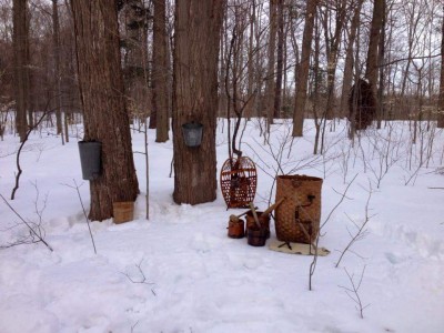Maple Sugaring - Past and Present