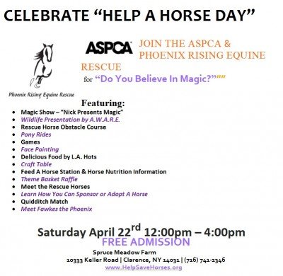 Help A Horse Day