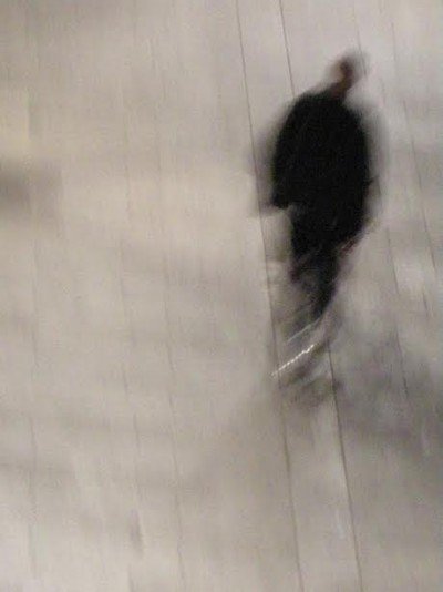 "Are Humans Disappearing?" Photography by Orin Langelle