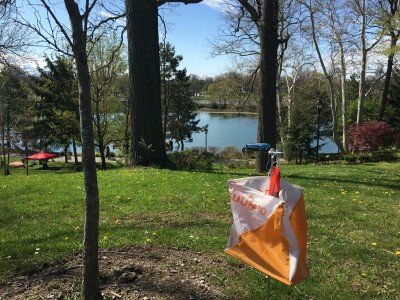 Knox Farm 5 Mile Trail Run by the Buffalo Orienteering Club