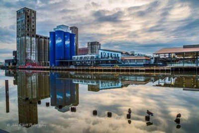 Totally Buffalo Festival!