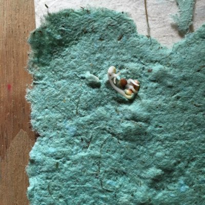 SEED PAPER & STAMPS