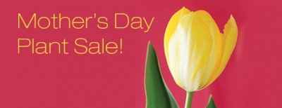 Mother's Day Plant Sale