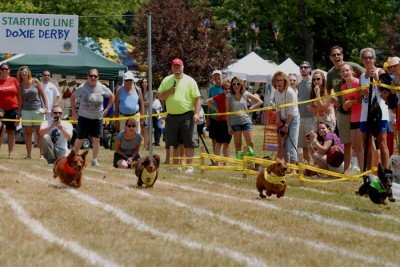 Clarence Bark in the Park