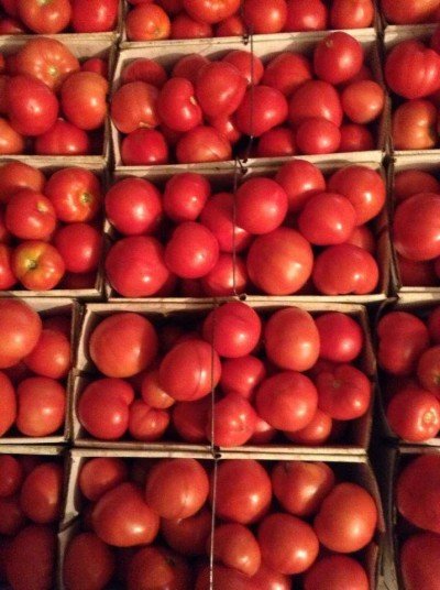 Williamsville Farmers Market