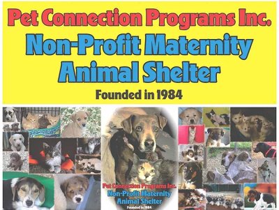 Pet Connection Programs, INC at the Erie County Fair!