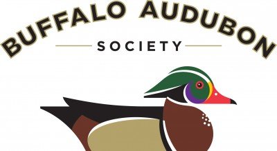 Birding by Ear at Beaver Meadow