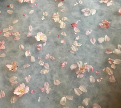 PAPERMAKING WITH PLANTS WORKSHOP