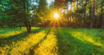 Summer Solstice Celebration