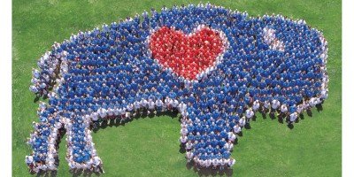 Human BuffaLove Photo #4 at Canalside