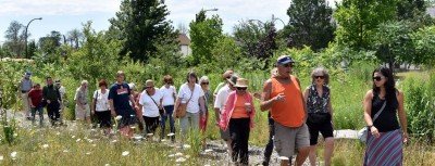 Buffalo Beyond Flowers: Sustainability in Action bus tour — Aug 5, 2017