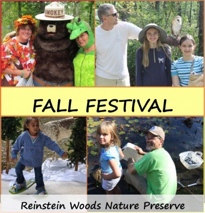 Fall Festival