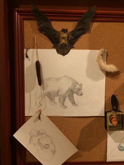The Roycroft Campus presents: Wunderkammer