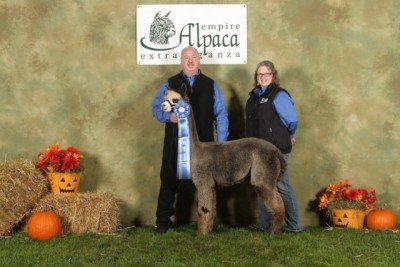 9th Annual Open House at Thistle Creek Alpaca Farm