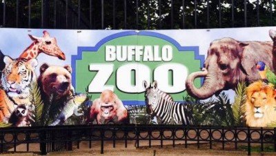 Buffalo Zoo Storytime