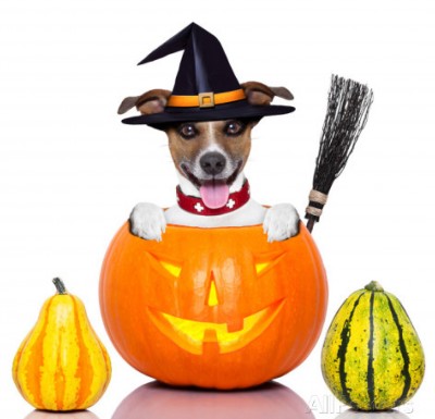 Howling Halloween Dog Show