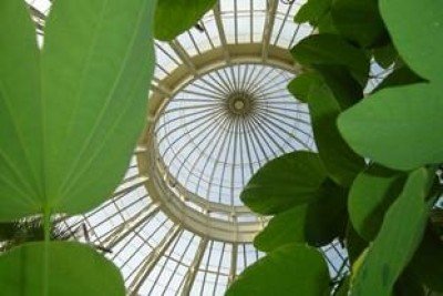 Botanical Gardens Staff