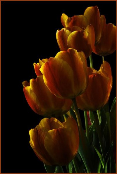 Buffalo Museum of Science Camera Club