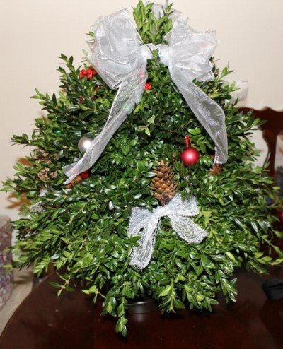 Decorated Boxwood Tree