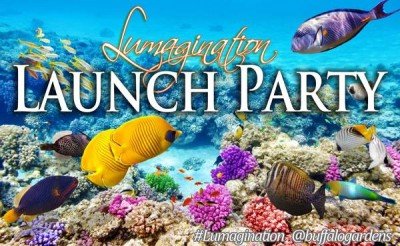 Lumagination Launch Party