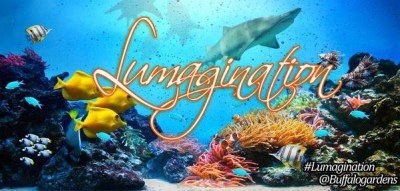 Lumagination