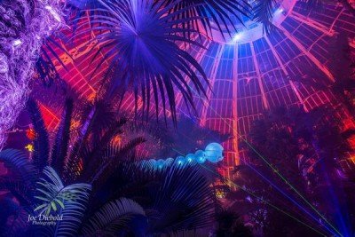 Lumagination: Photo Night