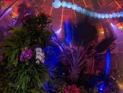 Lumagination: Sensory Night hosted by Autism Services