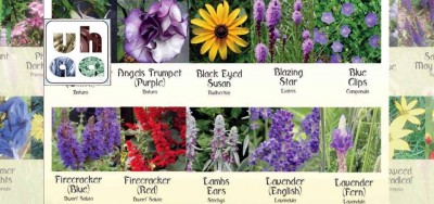 ADOPT A SEED!