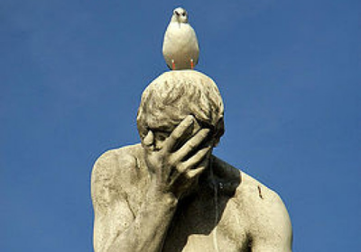 Stupid F**cking Bird