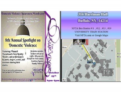Spotlight on Domestic Violence