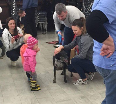 Rally to Rescue Adoption and Pre Holiday Pet Expo