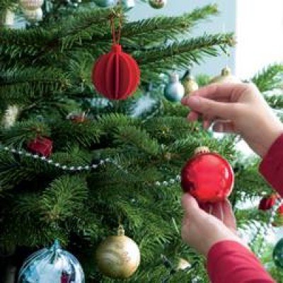 Tree Trimming at Buffalo Center