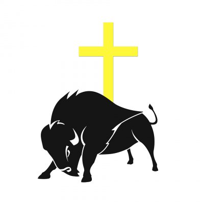 Buffalo Mass Mob XXV