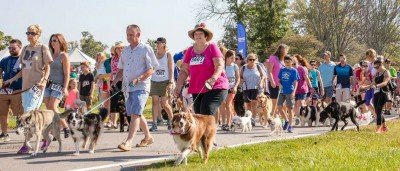 Paws In The Park — Sep 22, 2018