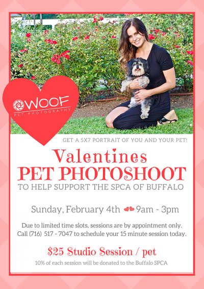 Valentines Pet Photo Shoot