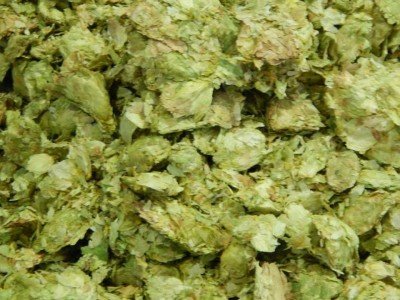 Buffalo Niagara Brewer's Invitational