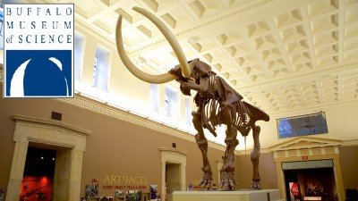 Storytime Field Trip to the Buffalo Museum of Science at Buffalo Museum of Science — Feb 24, 2018
