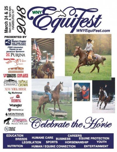 EquiFest 2018