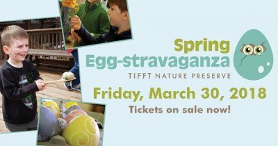 Spring Egg-Stravaganza