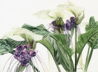 Beginner Watercolor Classes: Tuesday Mornings