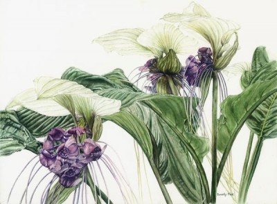 Beginner Watercolor Classes: Tuesday Mornings