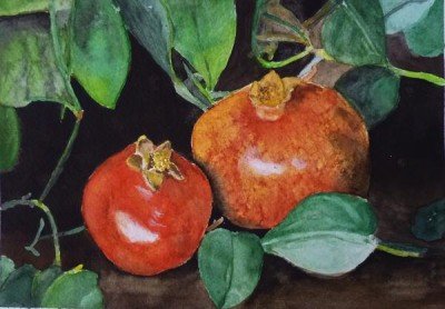 Intermediate Watercolor Classes: Monday Mornings