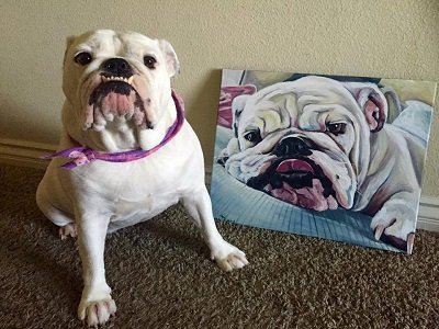 Project Pet — Apr 8, 2018