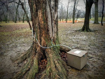 Pancake Breakfast & Urban Maple Syrup Demo