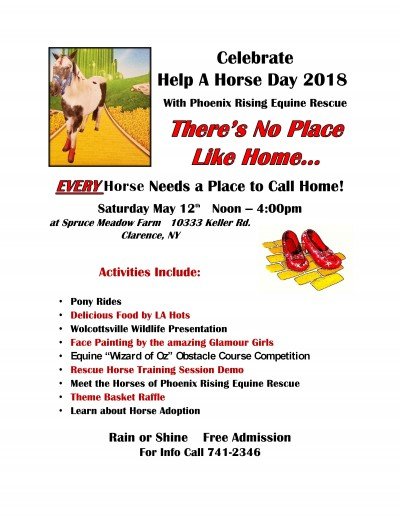 Help A Horse Day